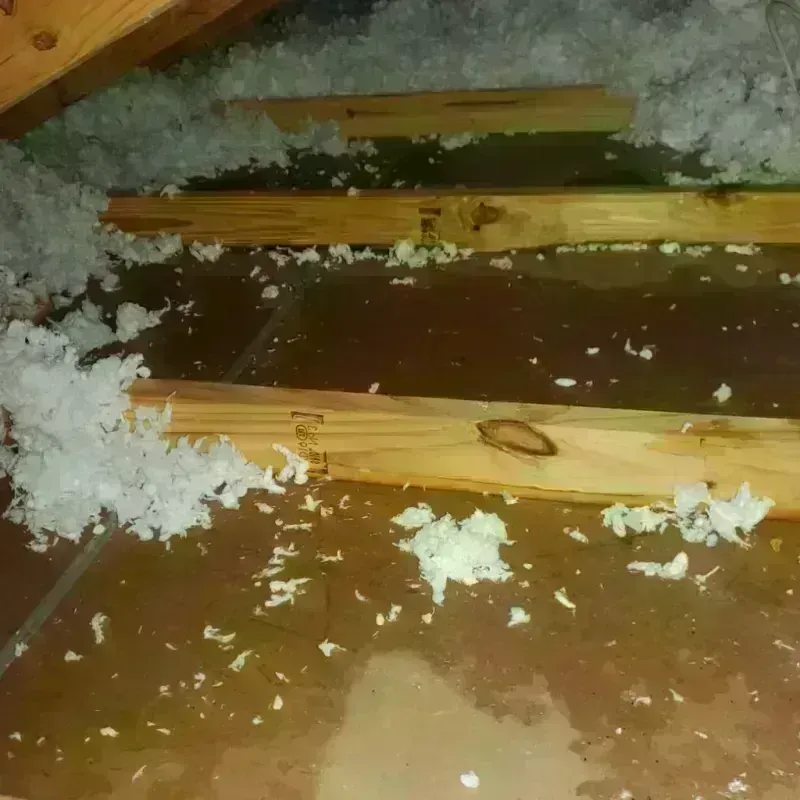 Attic Water Damage in Leicester, MA